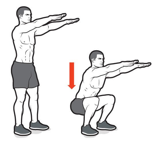 body weight squat illistration