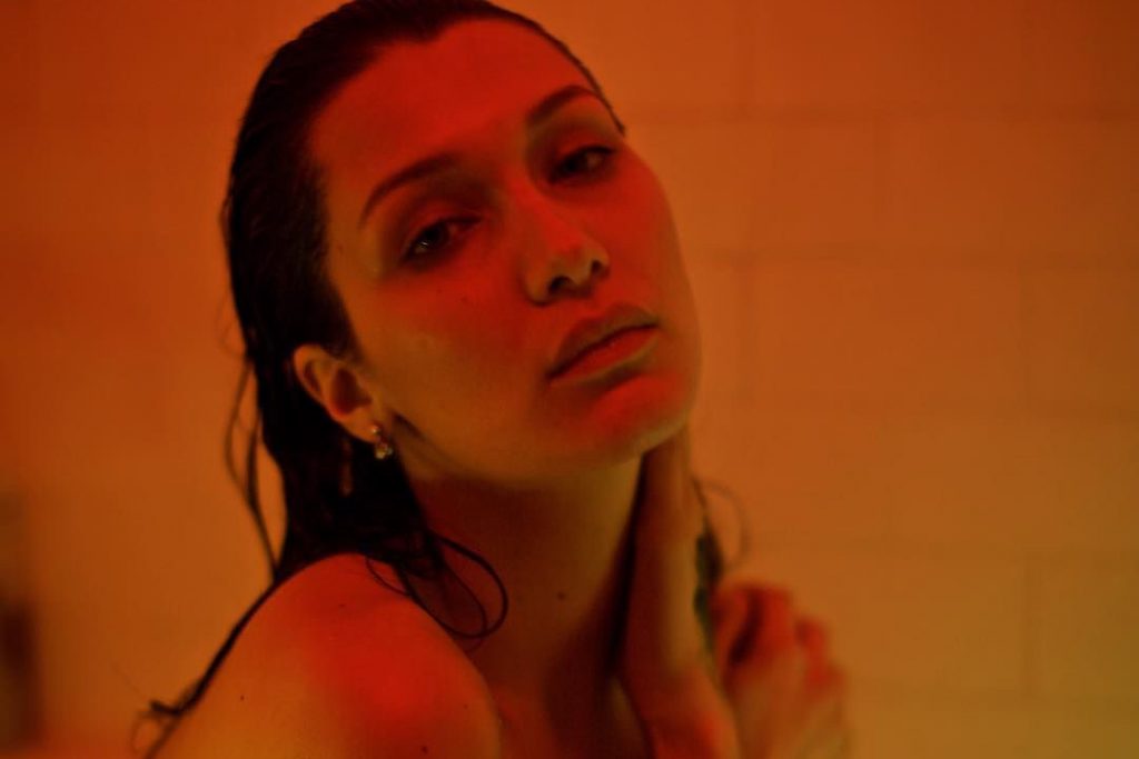 bella-hadid-tyler-ford-visionaire-private